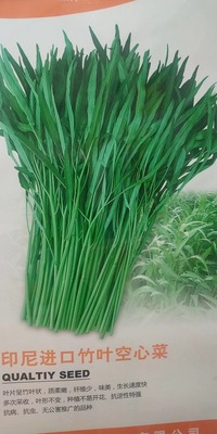 印尼进口竹叶空心菜