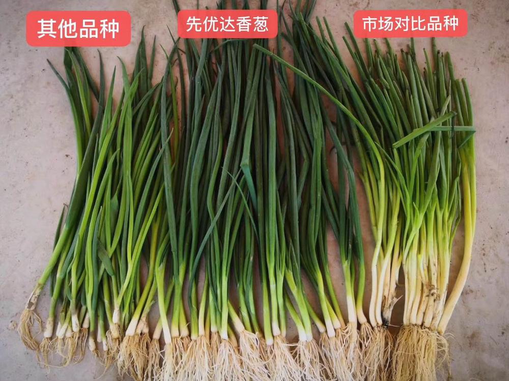 微信图片_20190429101342.jpg