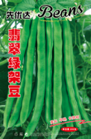 翡翠绿架豆