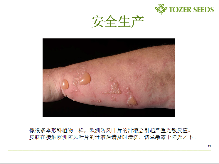 微信图片_20190507113958.png