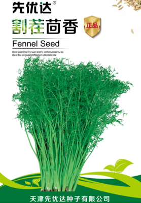 先优达割茬茴香