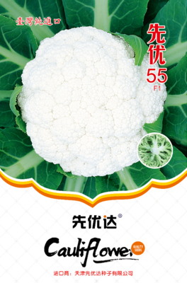 先优55