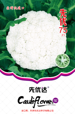 先优75