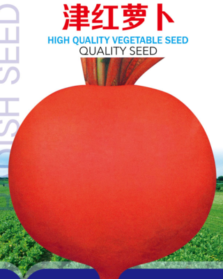 津红萝卜